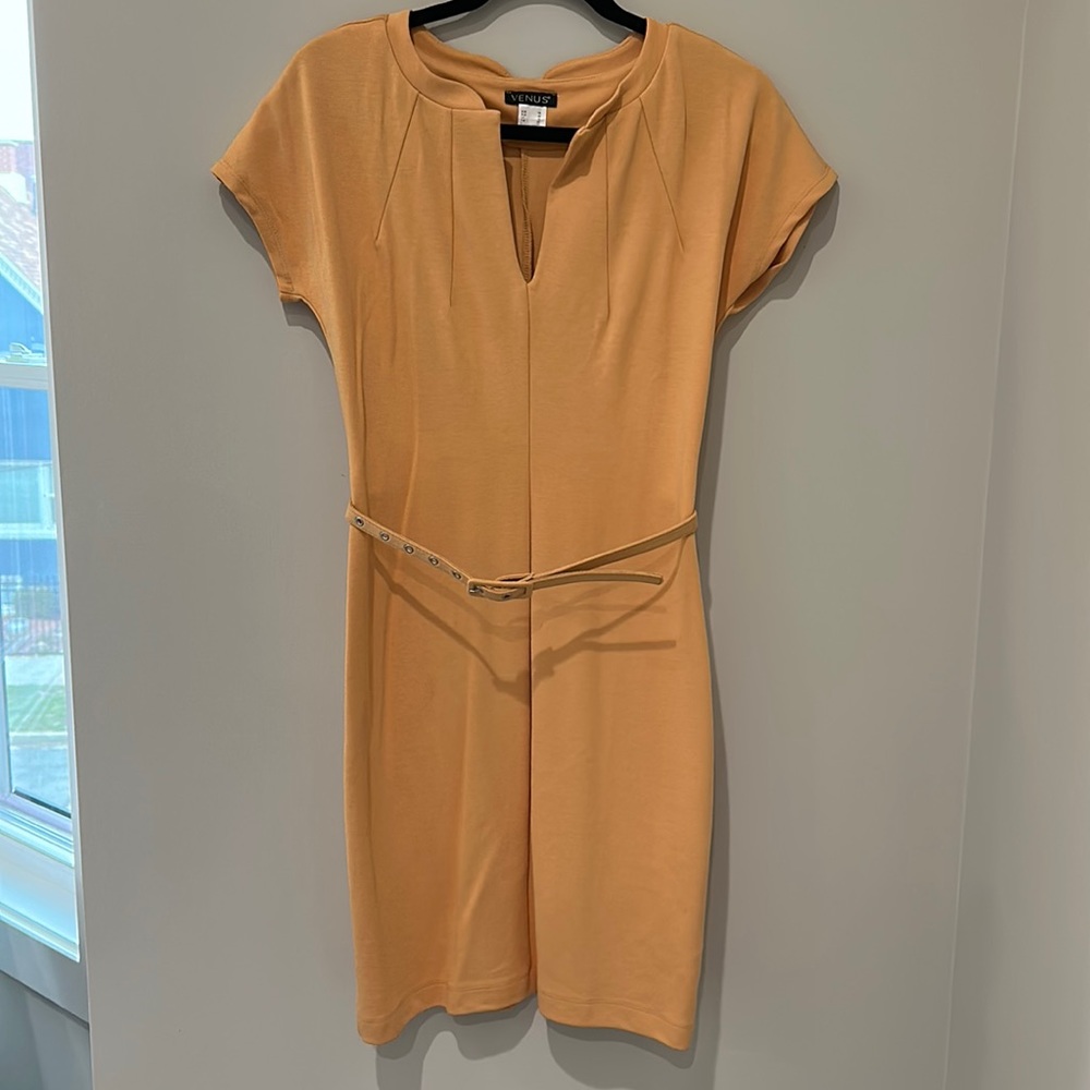VENUS dress size 6 fitted short sleeve knit dress brand new never worn
